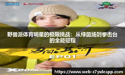 野兽派体育明星的极限挑战：从绿茵场到拳击台的全能征程